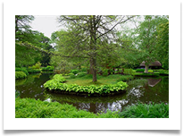 Water Garden - David Beech